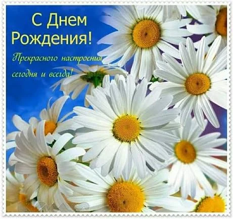Список качественных каналов в МАКС | Смотреть ❤️