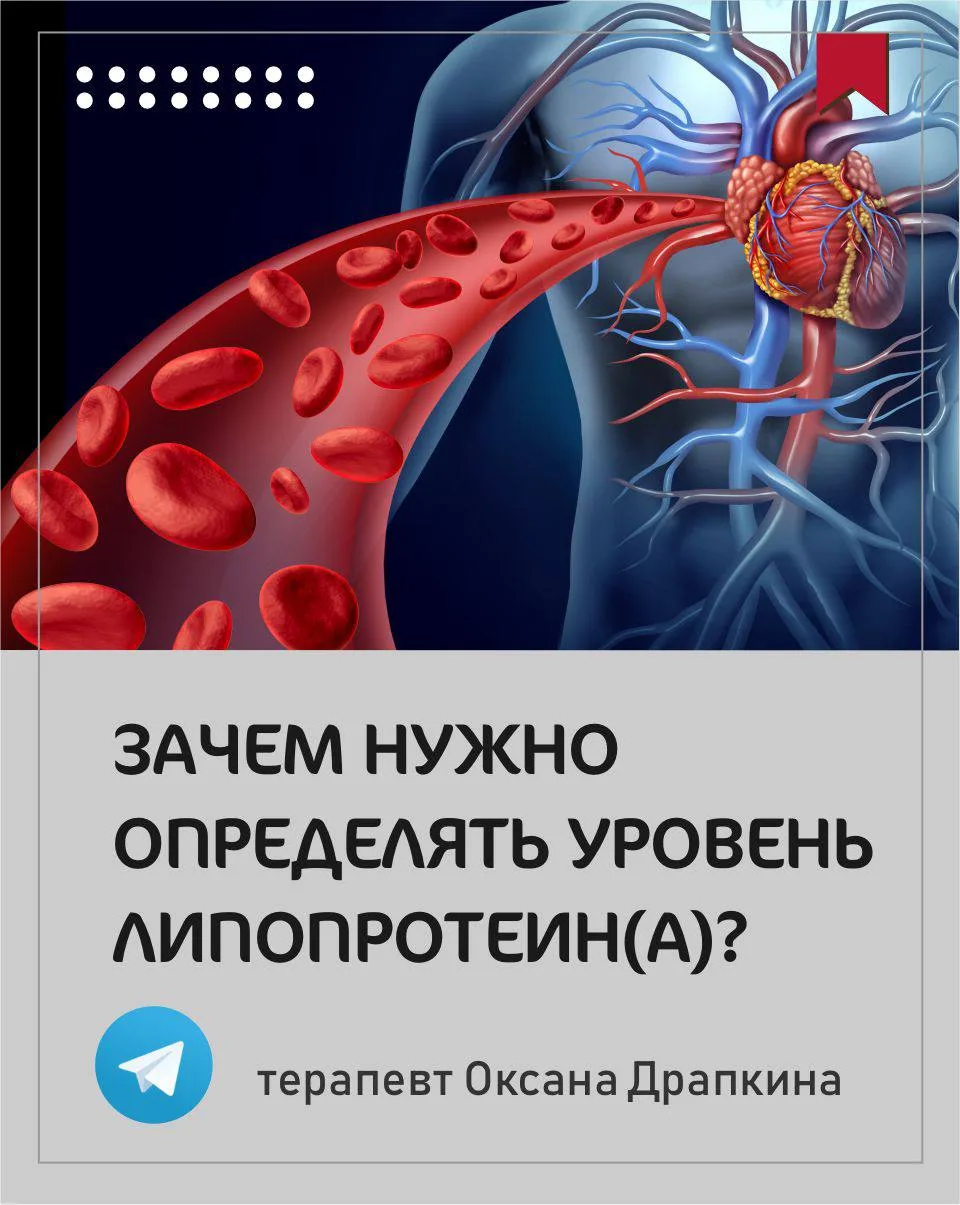 Зачем нужно определять уровень липопротеина(а)?