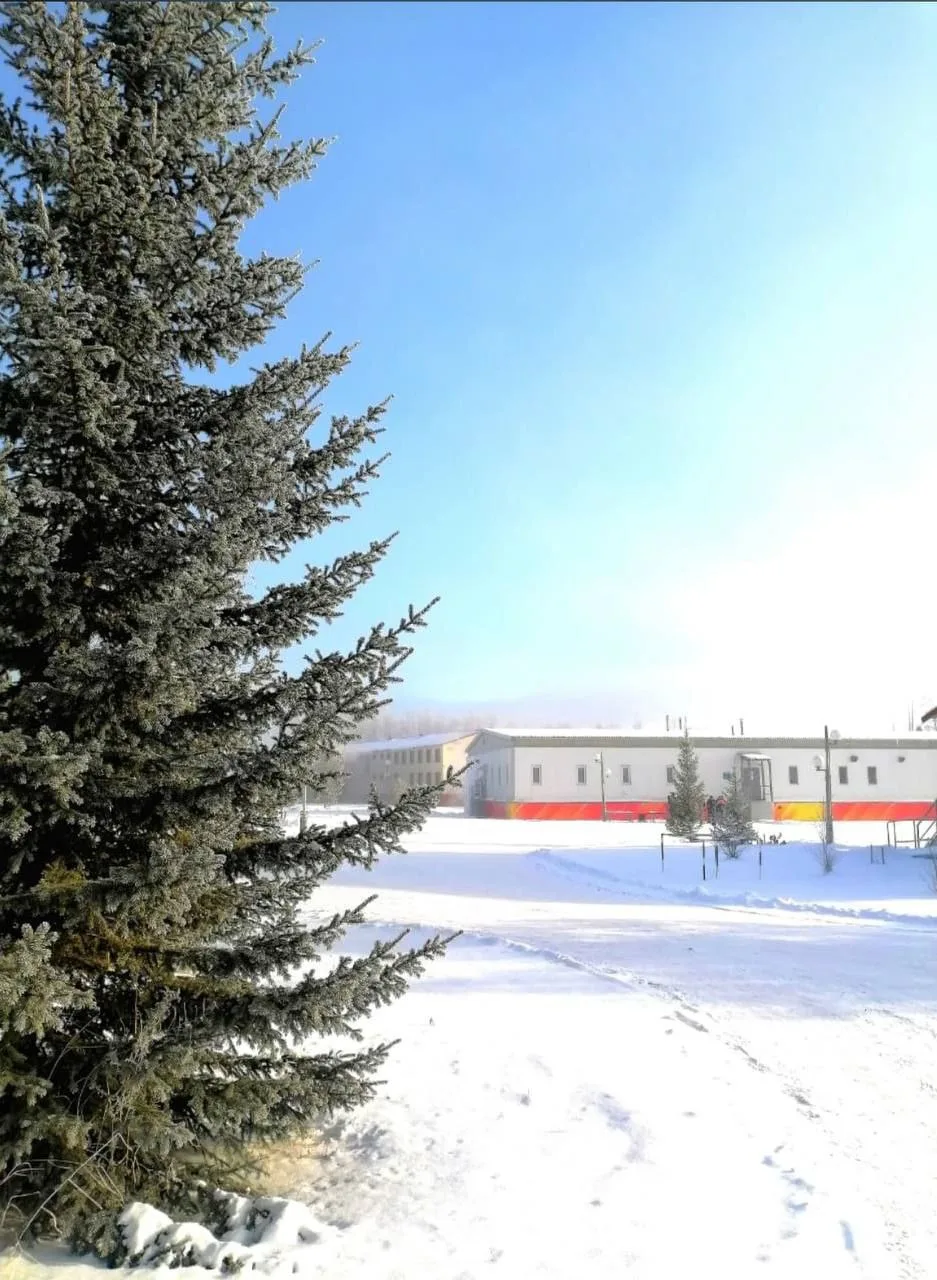 Талакан ❄️