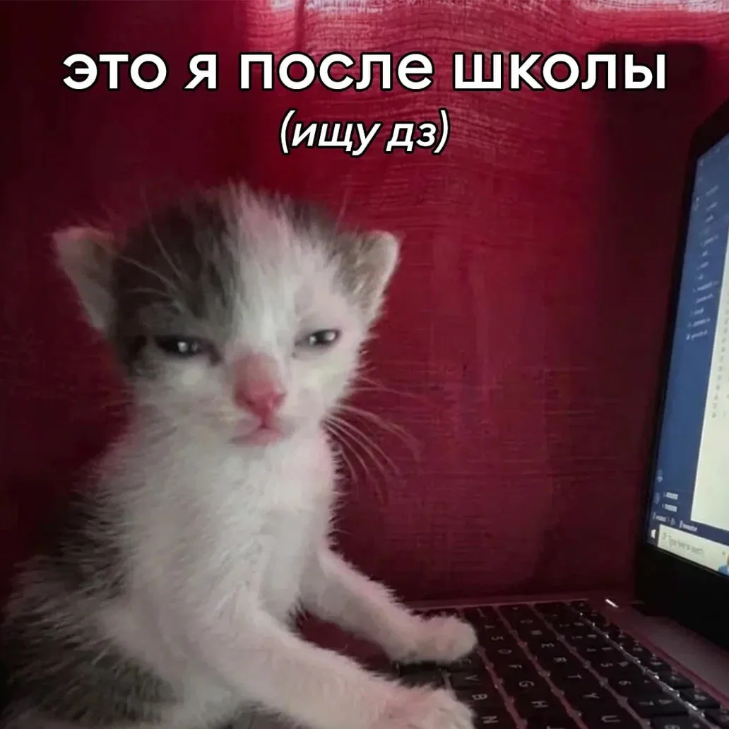 Не хватает    витамина D? ☁️  Посоветовались с нутрициологом и собрали большую подборку наших продук