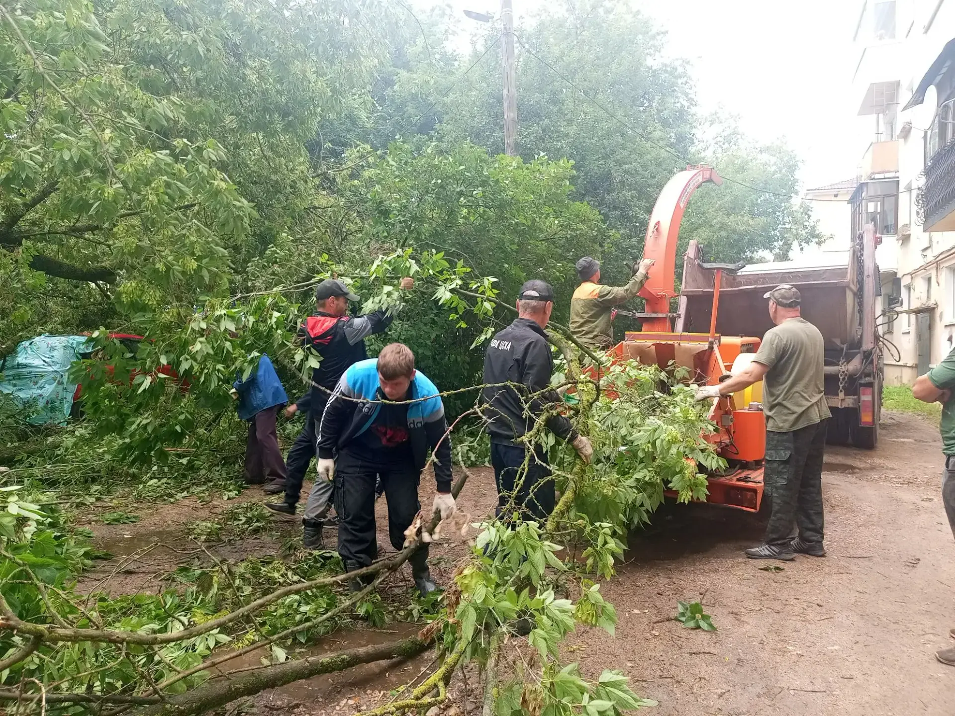 Глава Ржевского муниципального округа Роман Крылов о ликвидации последствий урагана.

Ситуация с пос