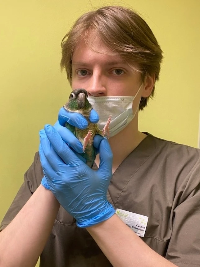 Друзья, мы принимаем птиц! 🦜  Записывайтесь с пернатыми к Суслову Егору Сергеевичу на ...