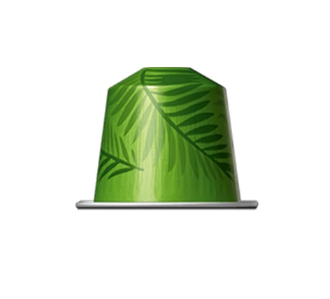 Rio De Janeiro (инт.9) Nespresso™ экзотический и бархатистый
Rio de Janeiro Espresso Coffee в капсул