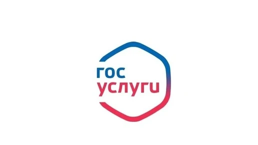 Воронежцы смогут воспользоваться «красной кнопкой» на «Госуслугах» для защиты от мошенн...