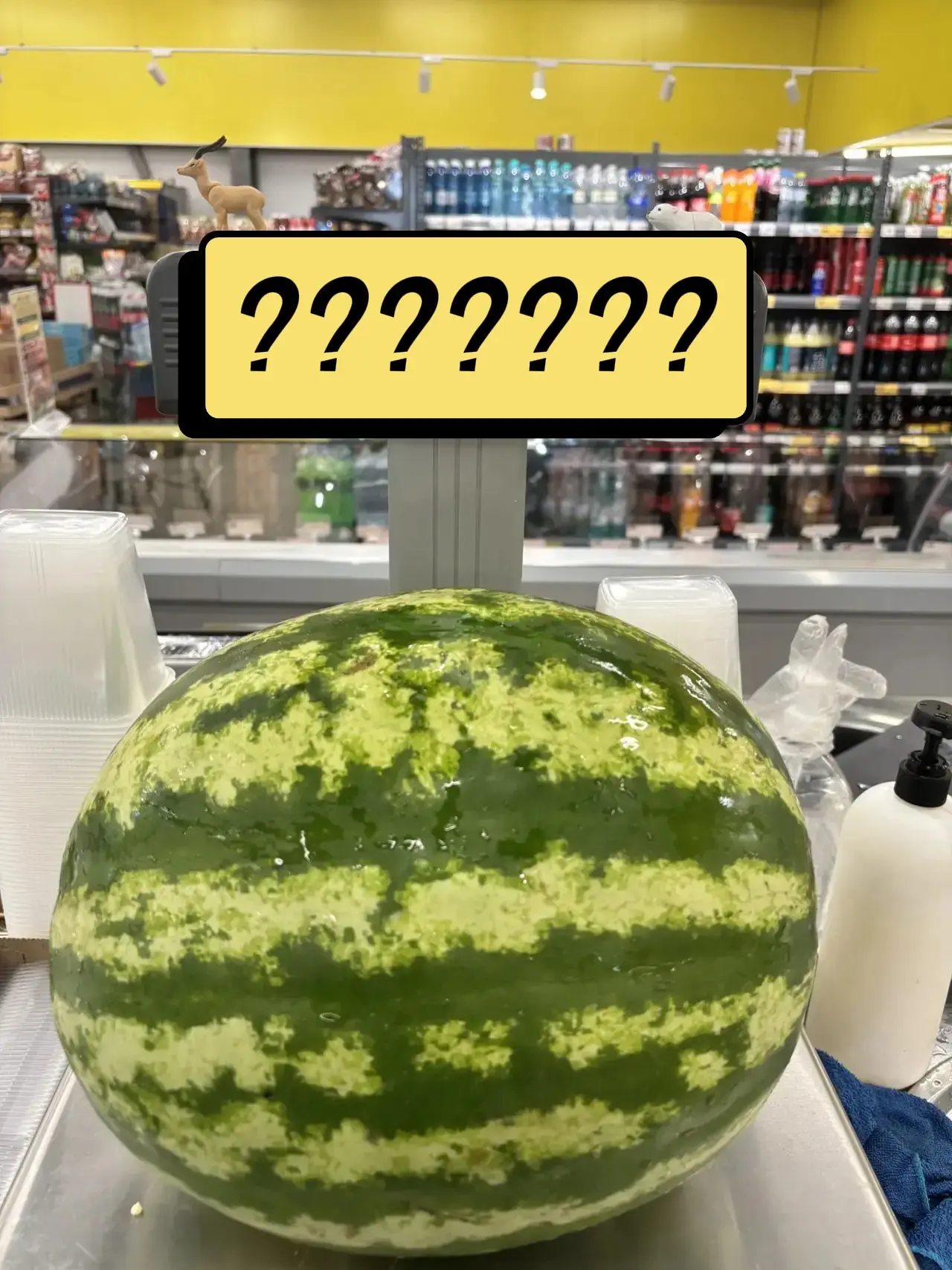 🍉 Сегодня День арбуза! А мы приготовили сладкое испытание 😍
