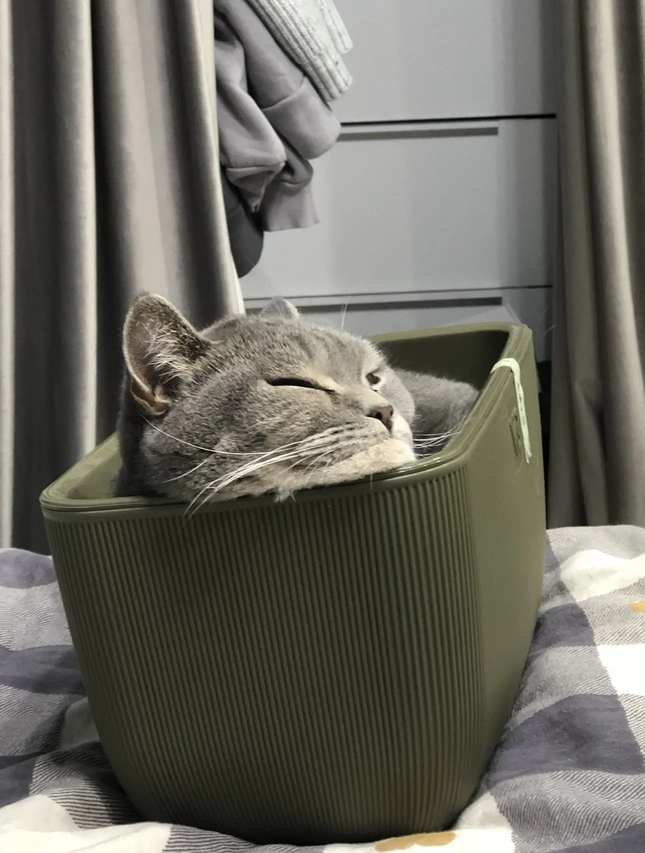 Спит на его местах, играет его игрушкой и множество других моментов, которые не придума...