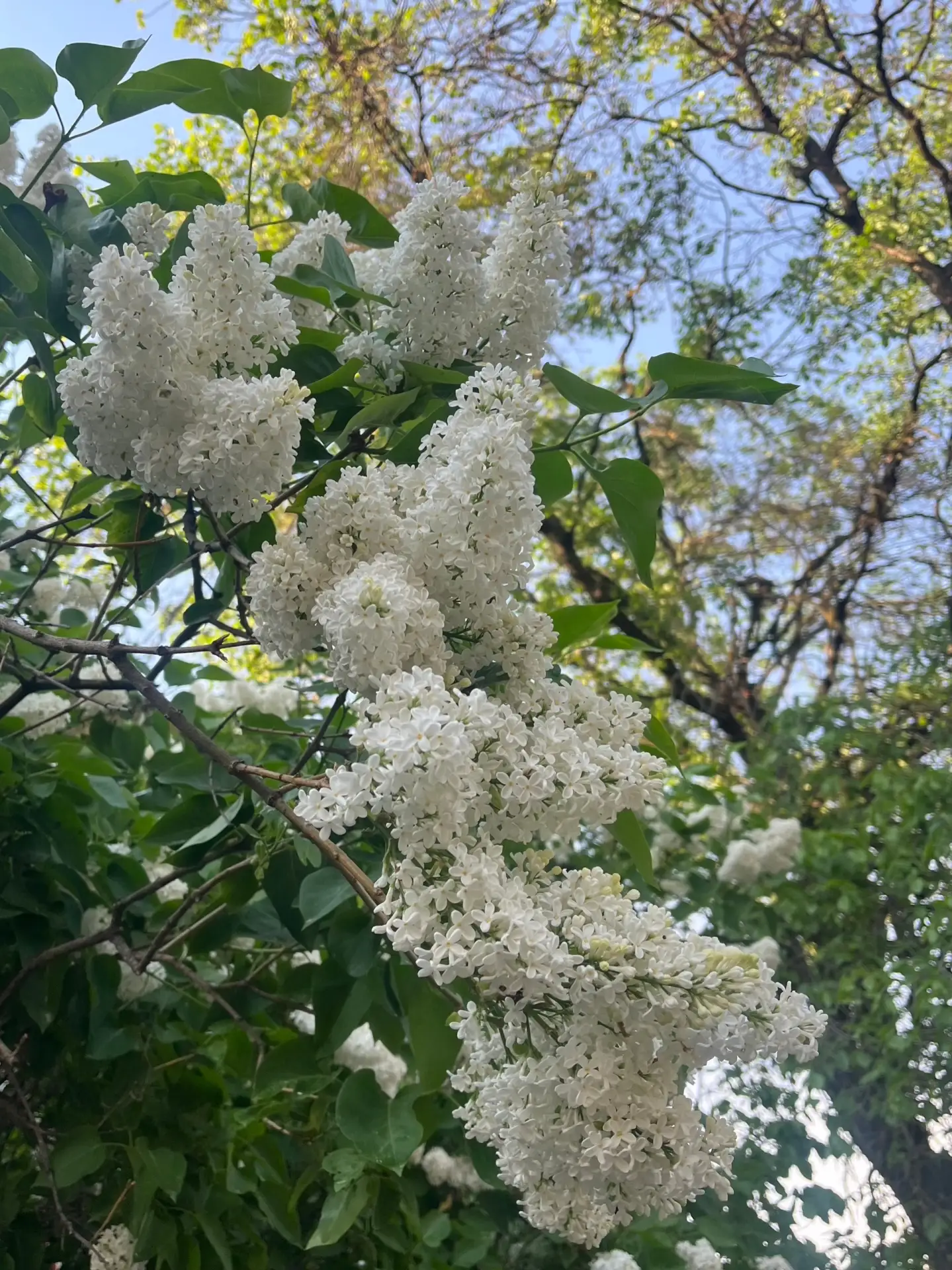 Как хороша летняя Вологда ✨