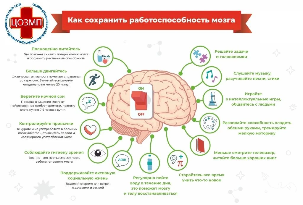Как сохранить работоспособность мозга?