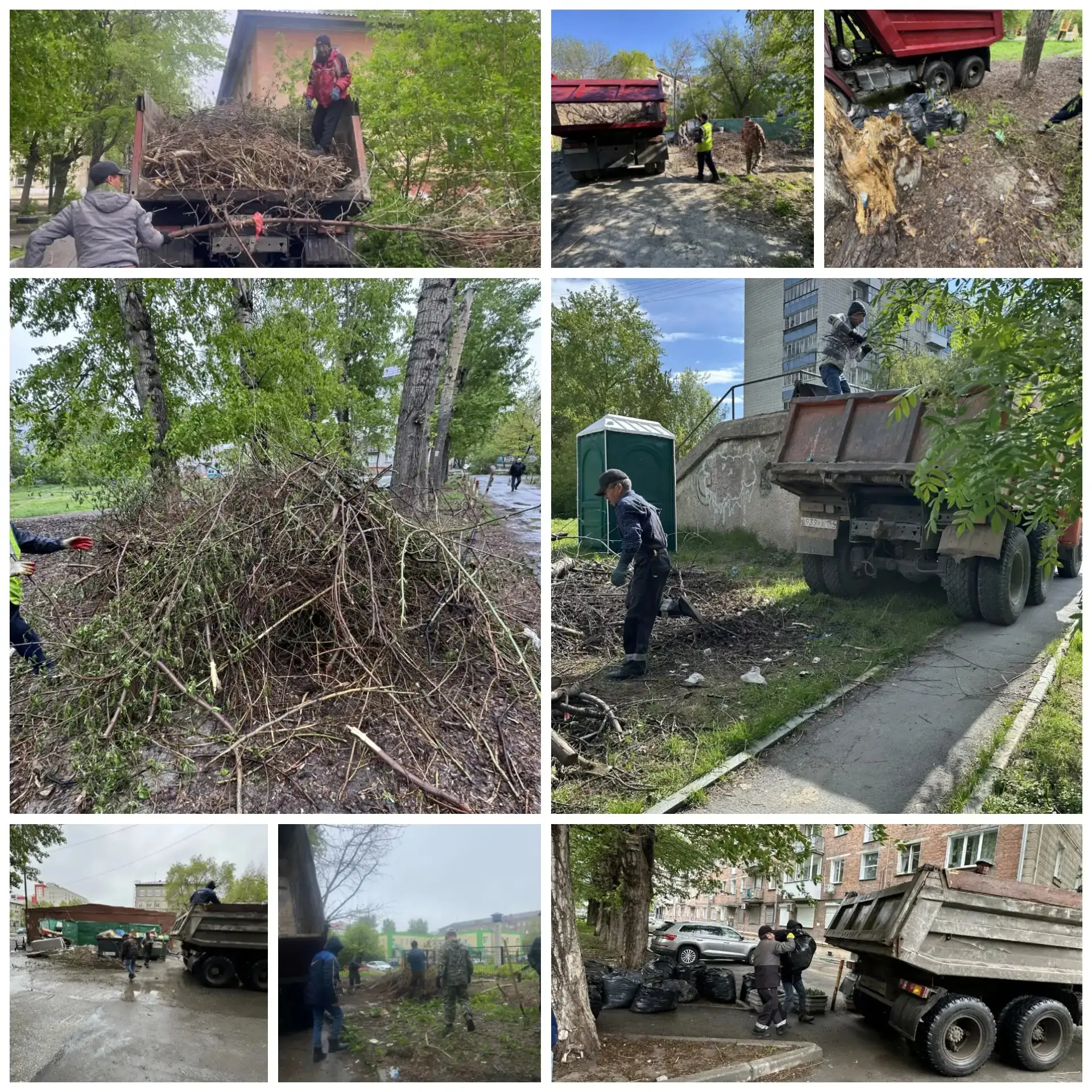 Традиционный фотоотчёт за неделю представляем вашему вниманию.