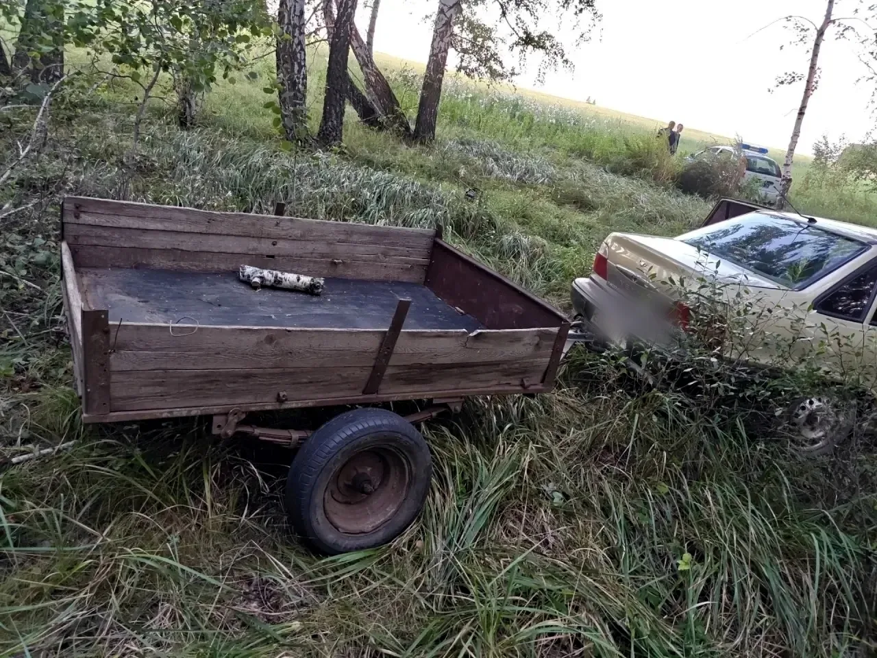 В Троицком муниципальном округе полицейские пресекли факт незаконной рубки лесных насаждений 
 
Сотр