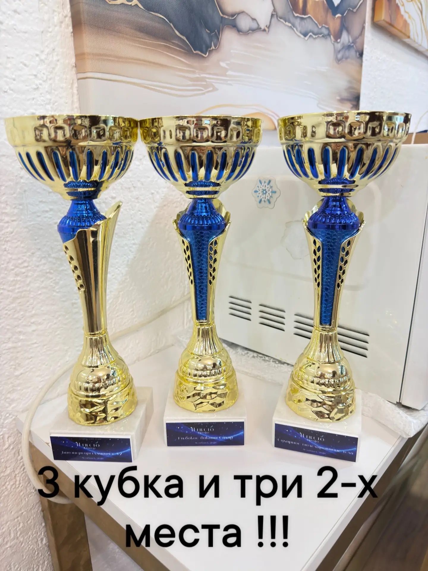 21 марта 2026 года в г. Челябинске прошел чемпионат для мастеров по депиляции, косметол...