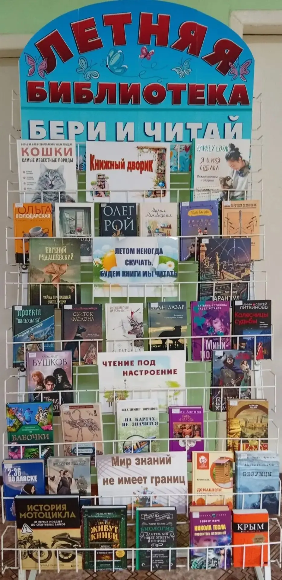 В Кировской городской библиотеке открылась выставка «Книжный дворик»! 📚