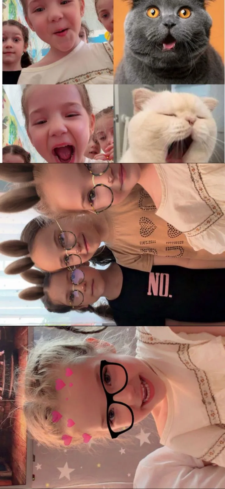 Минута развлечений 😂😍❤️