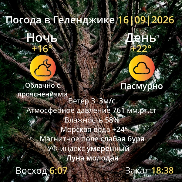 Погода на завтра