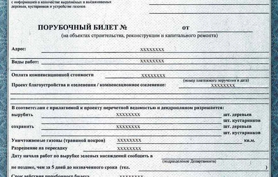 Выписан ШТРАФ за незаконную вырубку деревьев - 9981712₽