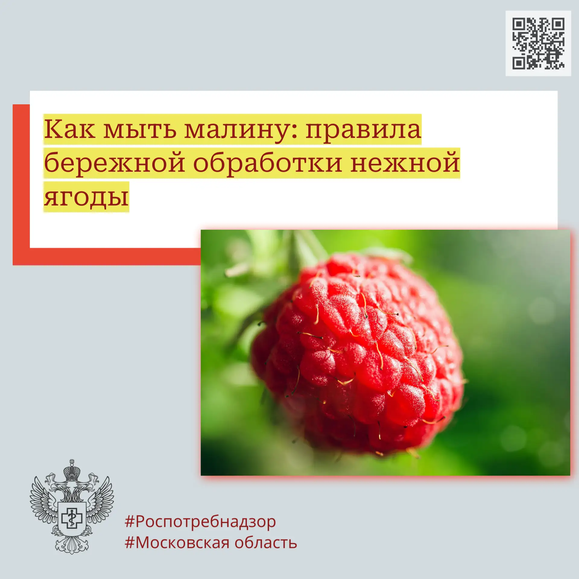 Как мыть малину: правила бережной обработки нежной ягоды
