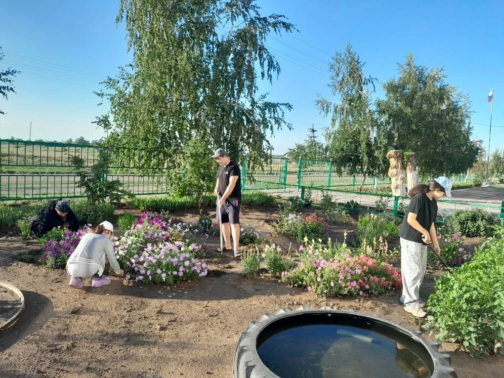 🏖️Лето — это не только отдых! ☀️👩‍🌾