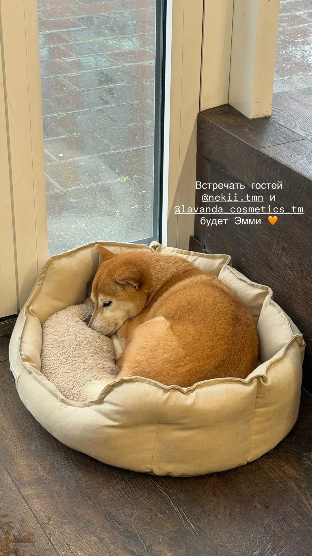 Про Тюмень