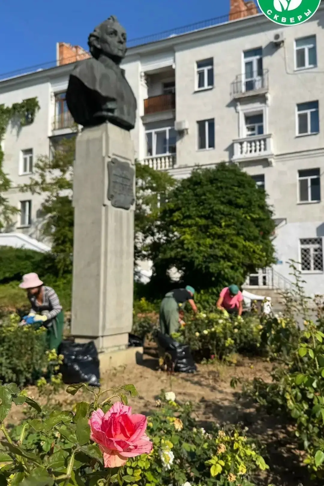 🌹 В сквере у памятника Суворову провели сезонную обрезку роз