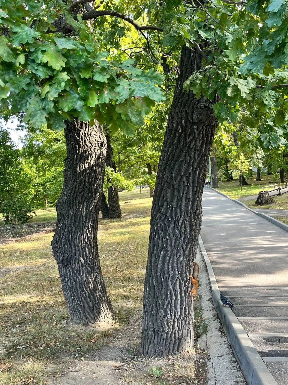 Последнее воскресенье лета ☀️