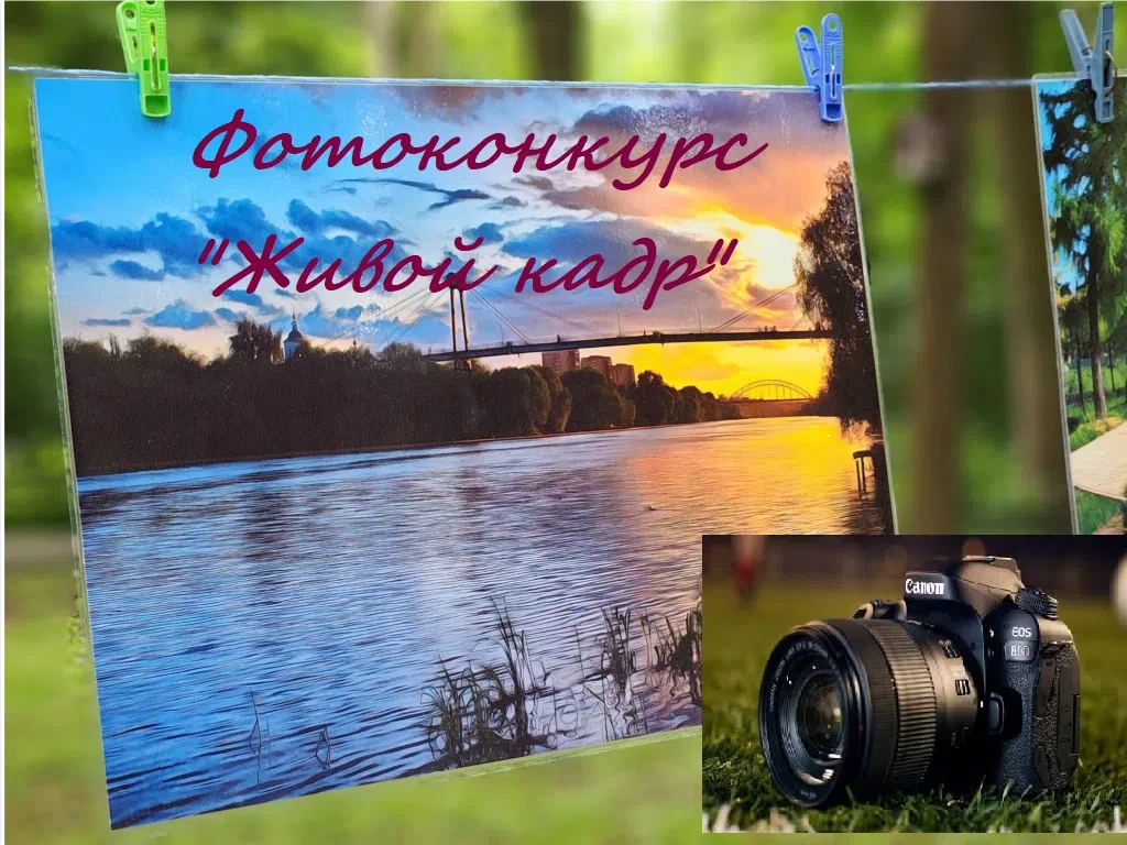 🎉 Внимание, фотографы и любители природы! 🎉 
 
Очно-заочная школа "Лесная академия" приглашаем вас