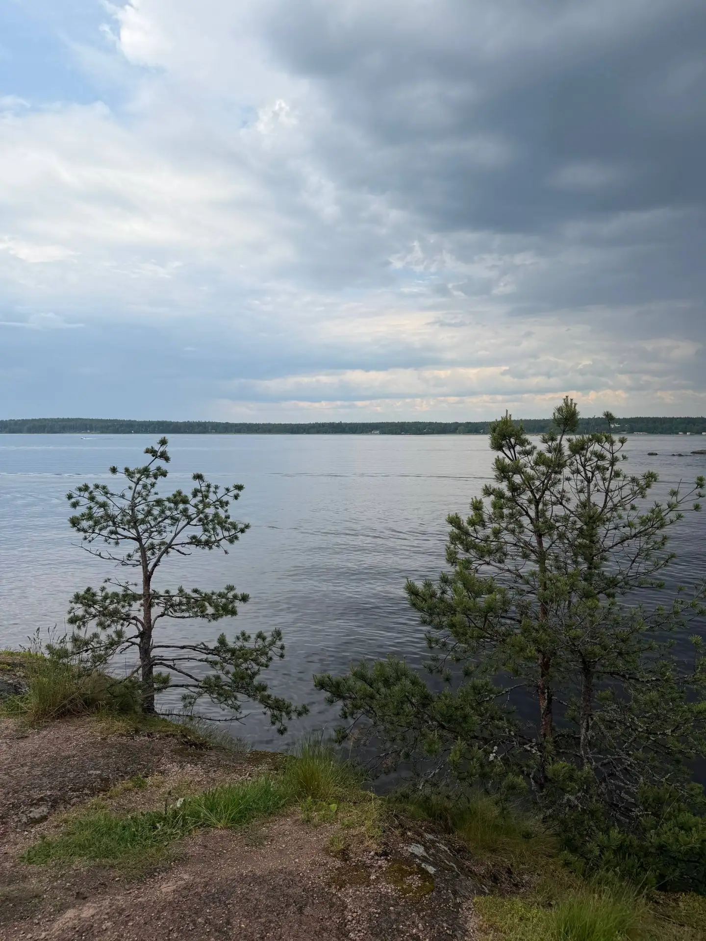 Сегодня в нашей пятничной рубрике #интересноеогороде – прекрасный парк Монрепо в Выборге! Вот 5 инте