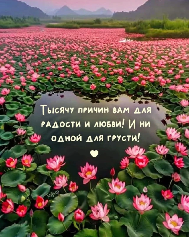Мы в MAX