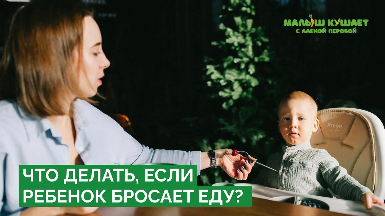 Разбирём вопрос из комментариев:

«Ребёнку 1 год и 3 месяца. Как отучить его сбрасывать со стола еду