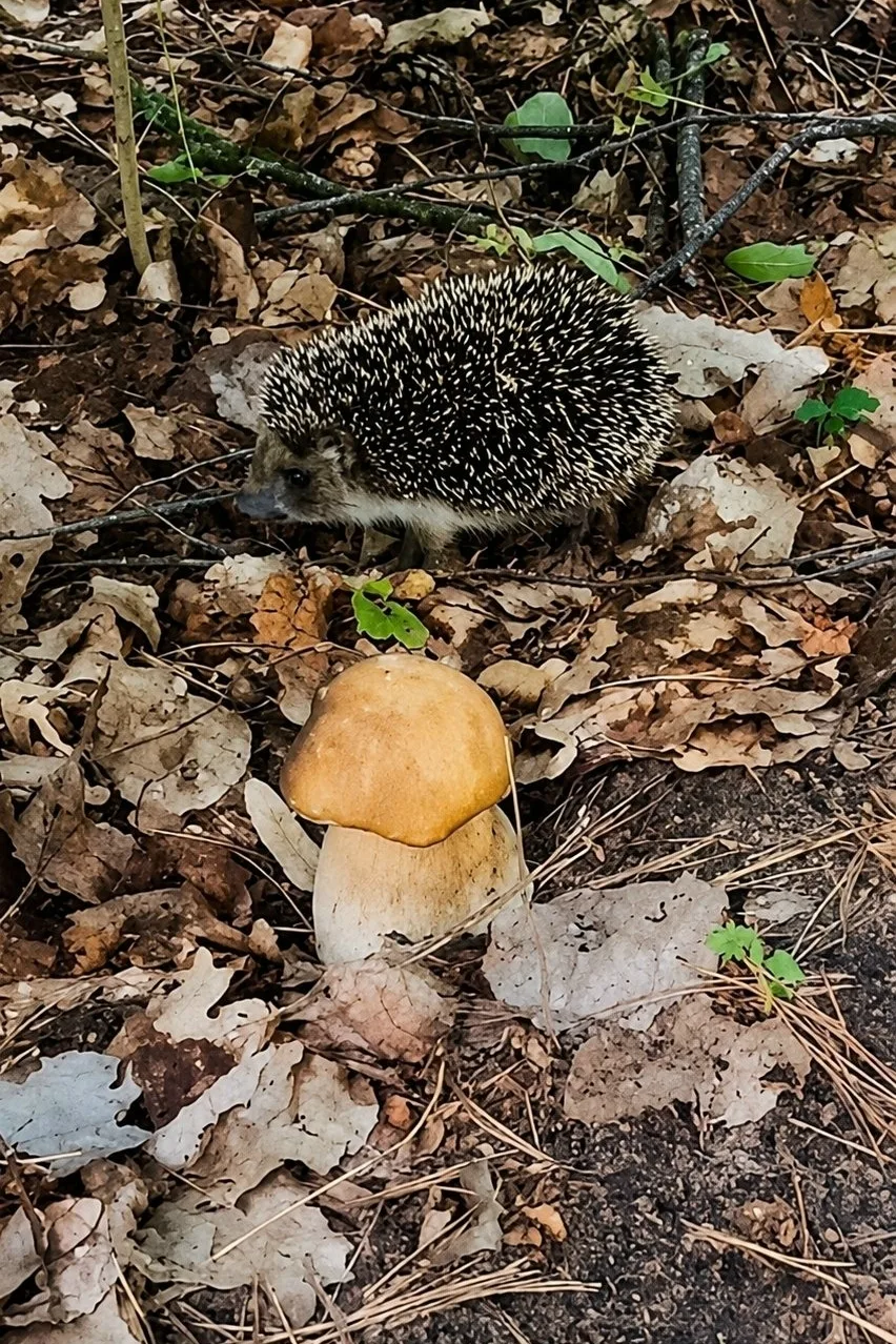Самый милый кадр за сегодня 😍