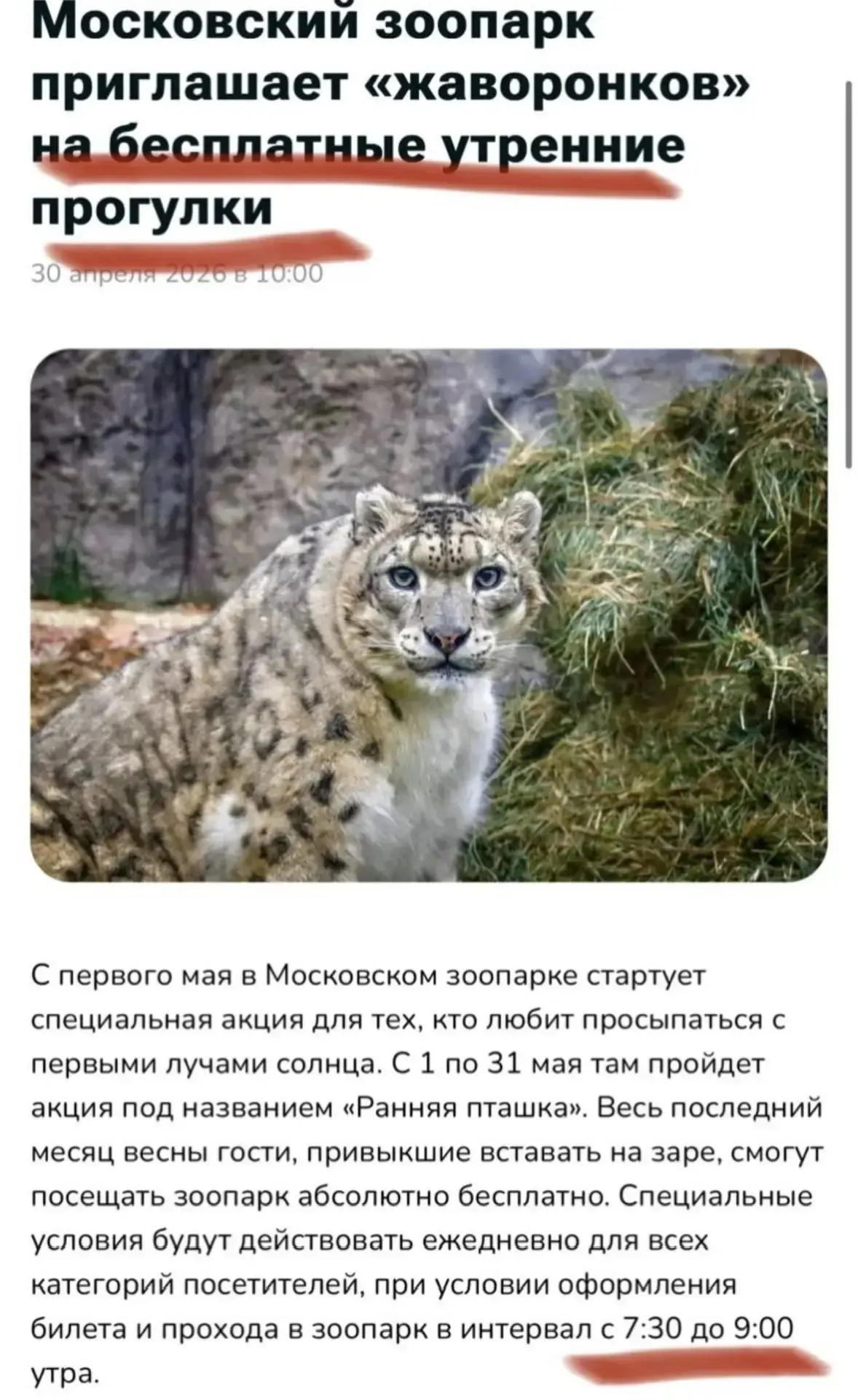 Медиа публикации