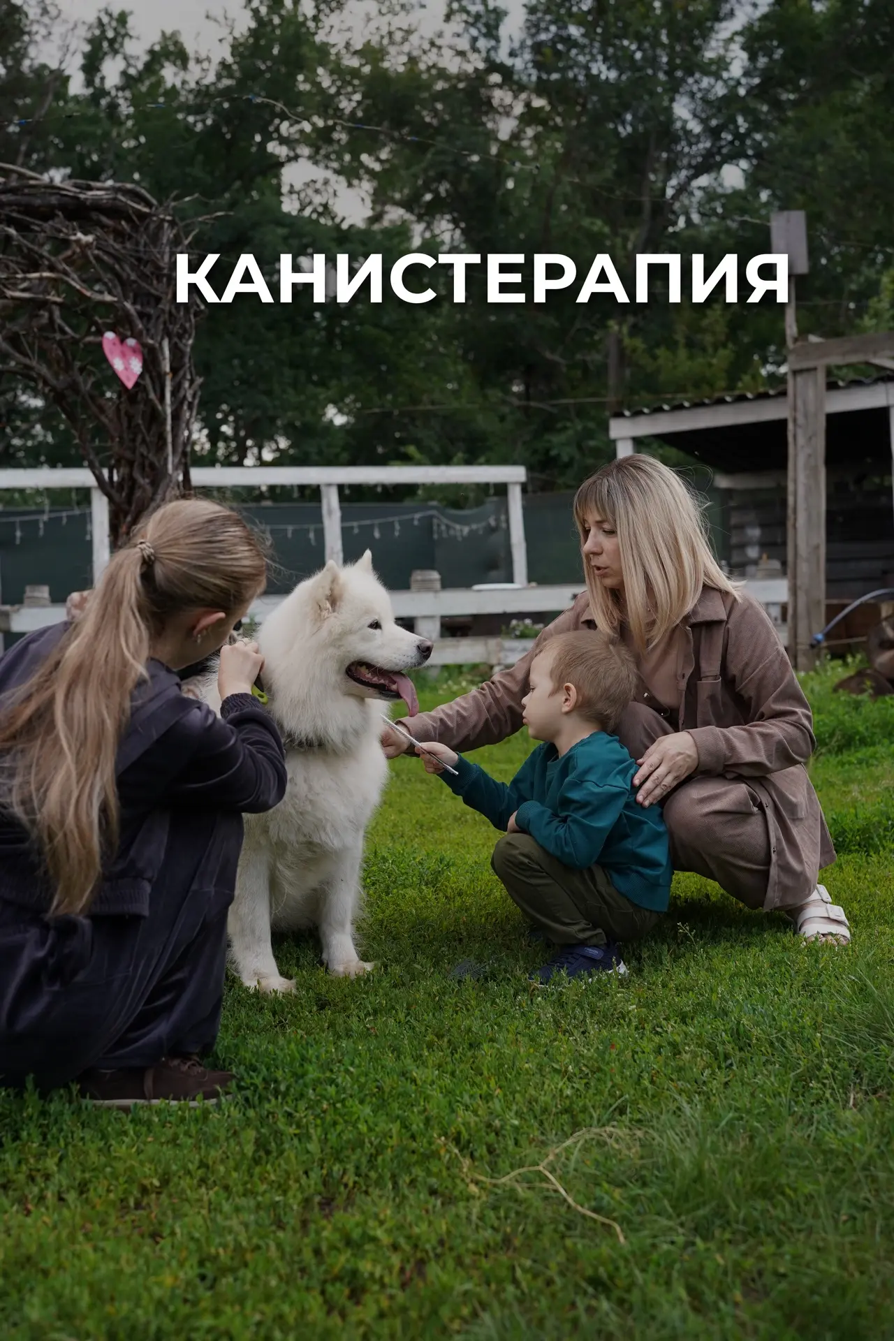 КАНИСТЕРАПИЯ В ФОРМАТЕ ДОГТРЕКИНГА

Догтрекинг — современный метод реабилитации, который сочетает пр