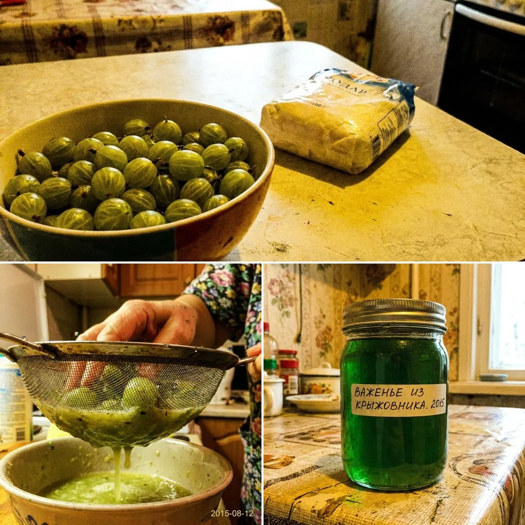🟢 ЖЕЛЕ ИЗ КРЫЖОВНИКА

Изумрудно-зелёное желе с пикантной кислинкой — к мясу, птице, сырам, в выпечк