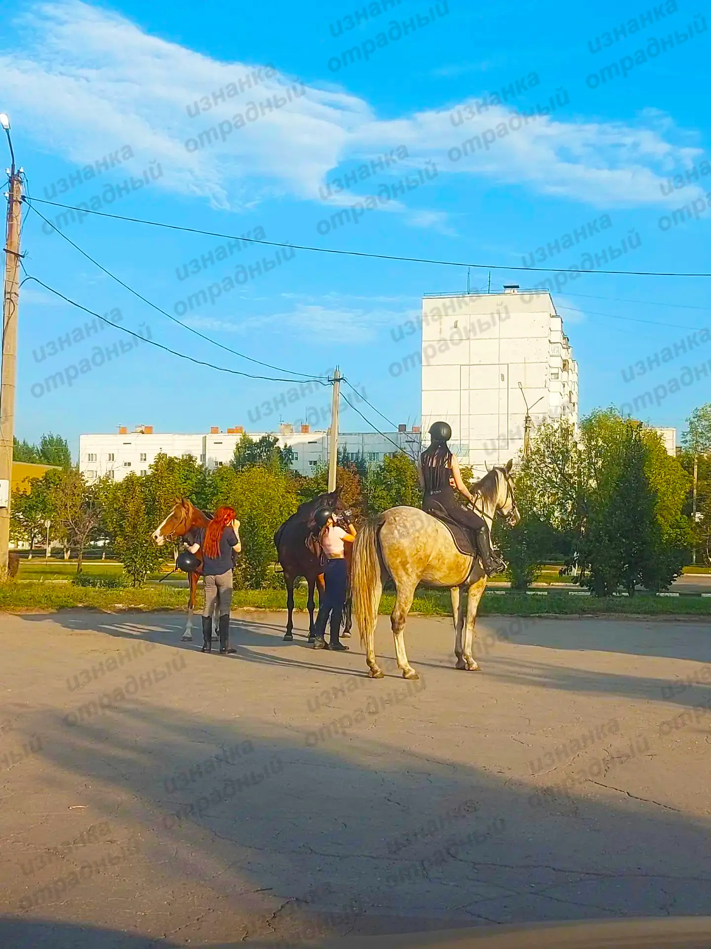 "По коням, девочки!"