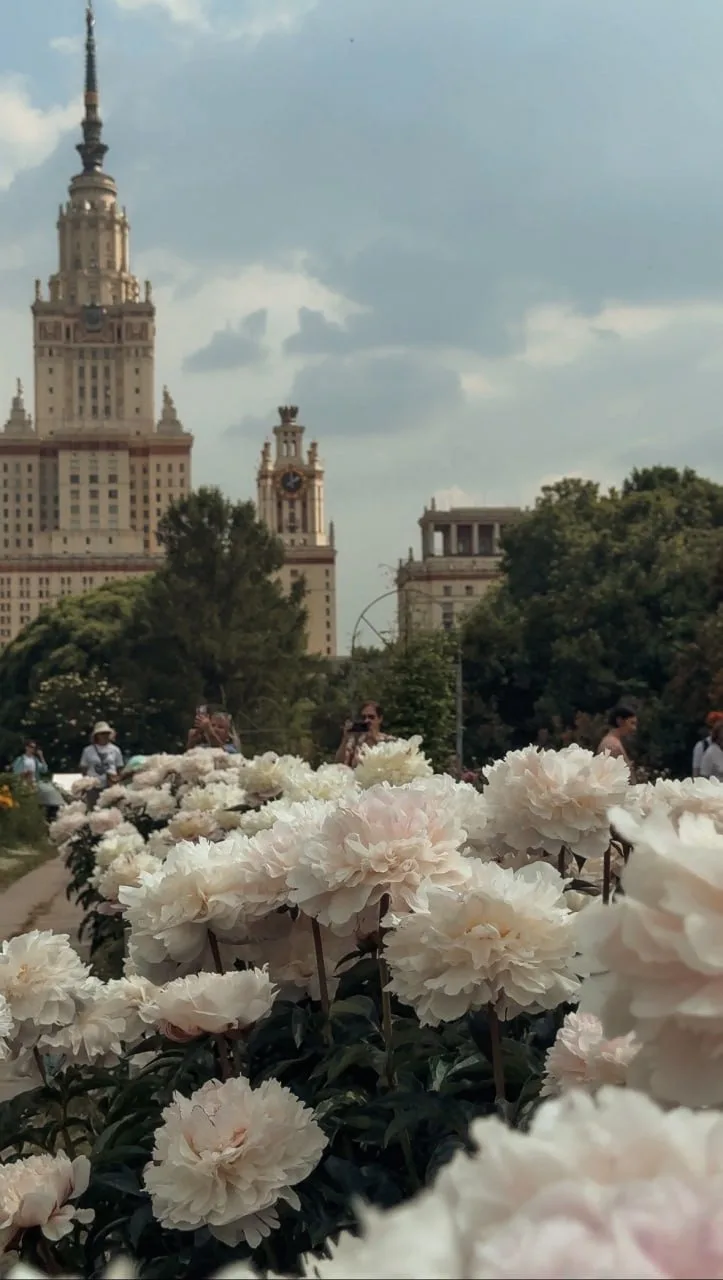 🌸 Нежные пионы цветут в Ботаническом саду МГУ

Москва для детей. Подписаться