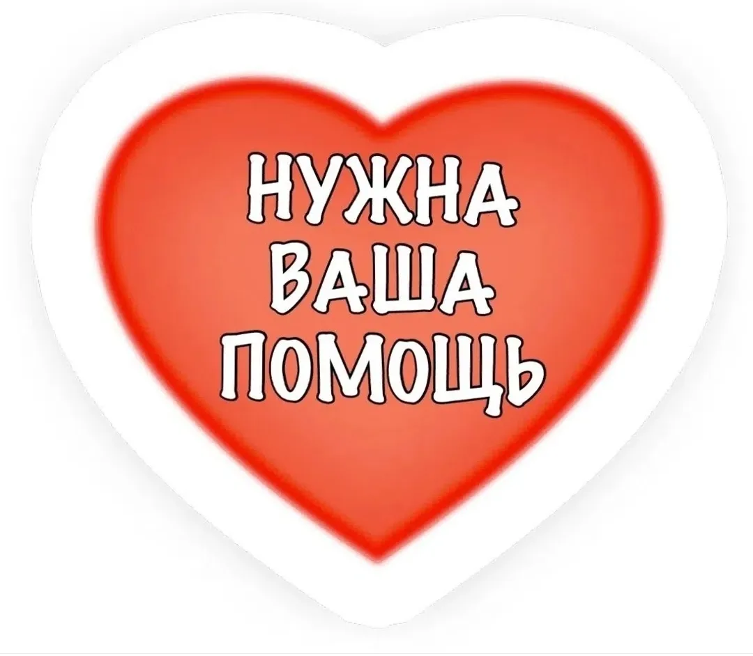 ПОСТ О ПОМОЩИ ‼️