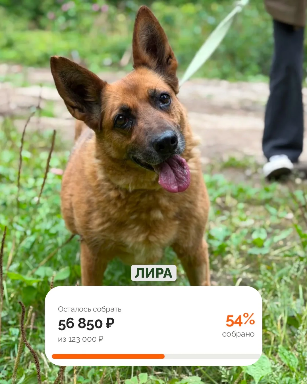 Им ещё нужна наша помощь ❤️