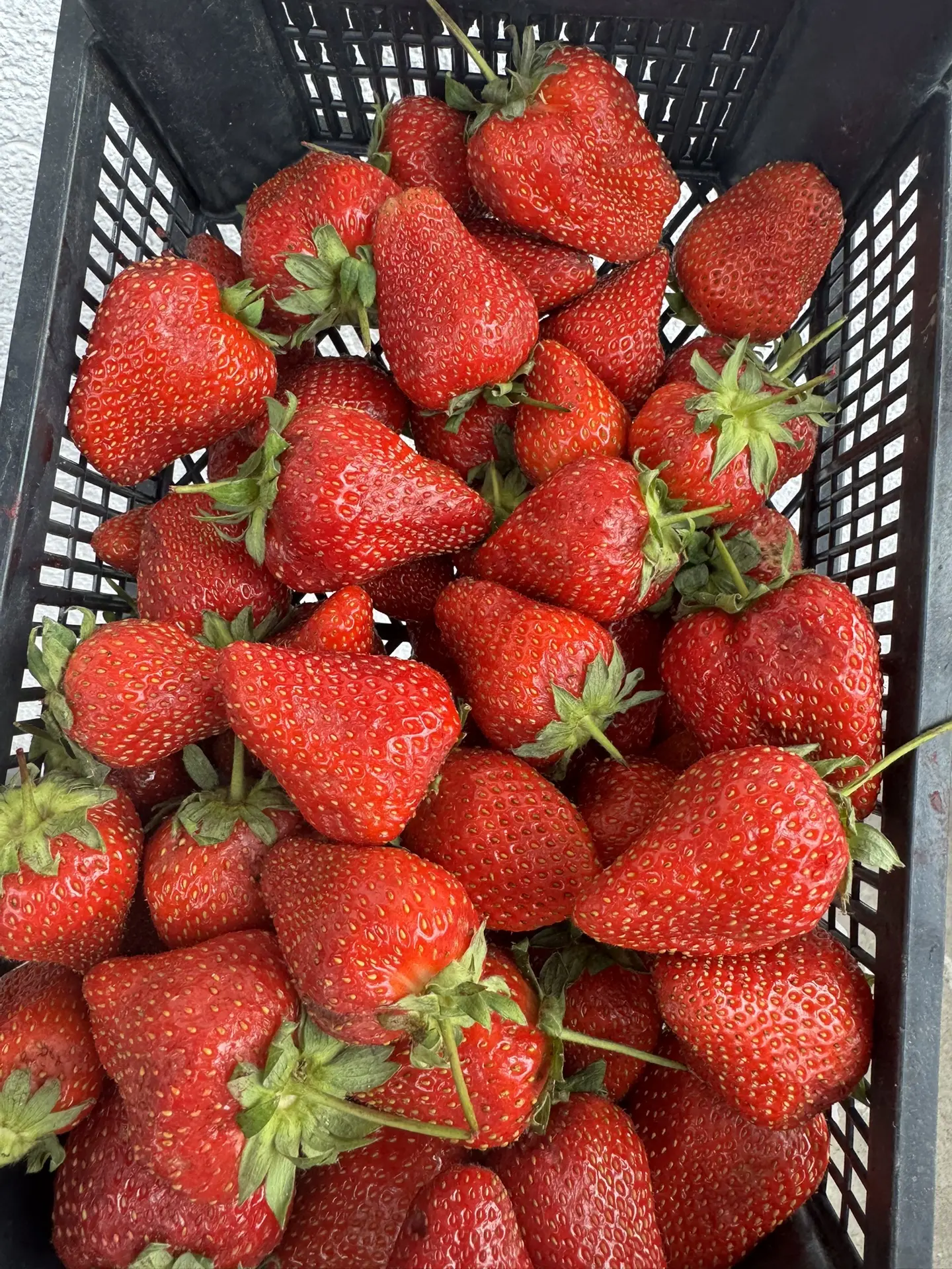 Когда вкусно , сочно и красиво 😍 
В одном фото все )