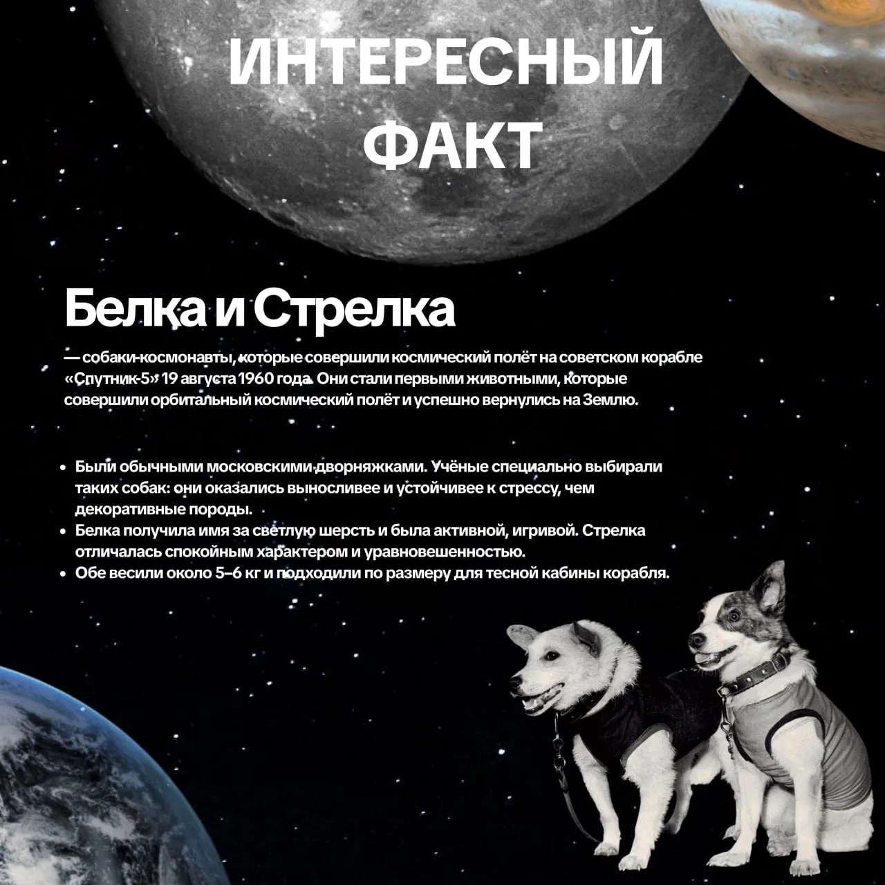 Одной из площадок станет Молодёжный центр. ул. Гагарина, д. 19  Вход свободный  Подпишись @v_korolev