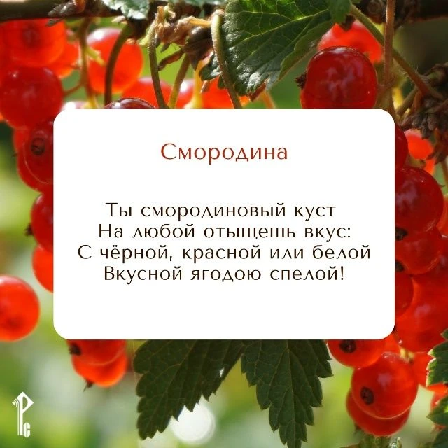 🏡 Лето, дача, грядки… А что растёт у вас в саду и огороде?

Свежая зелень, огурцы и помидоры, кабач