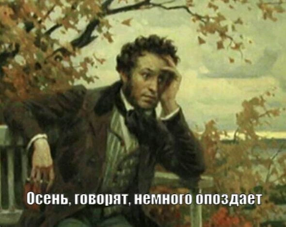 🍂 Осень немного подождёт: в Калининграде метеорологическая осень придёт позже обычного