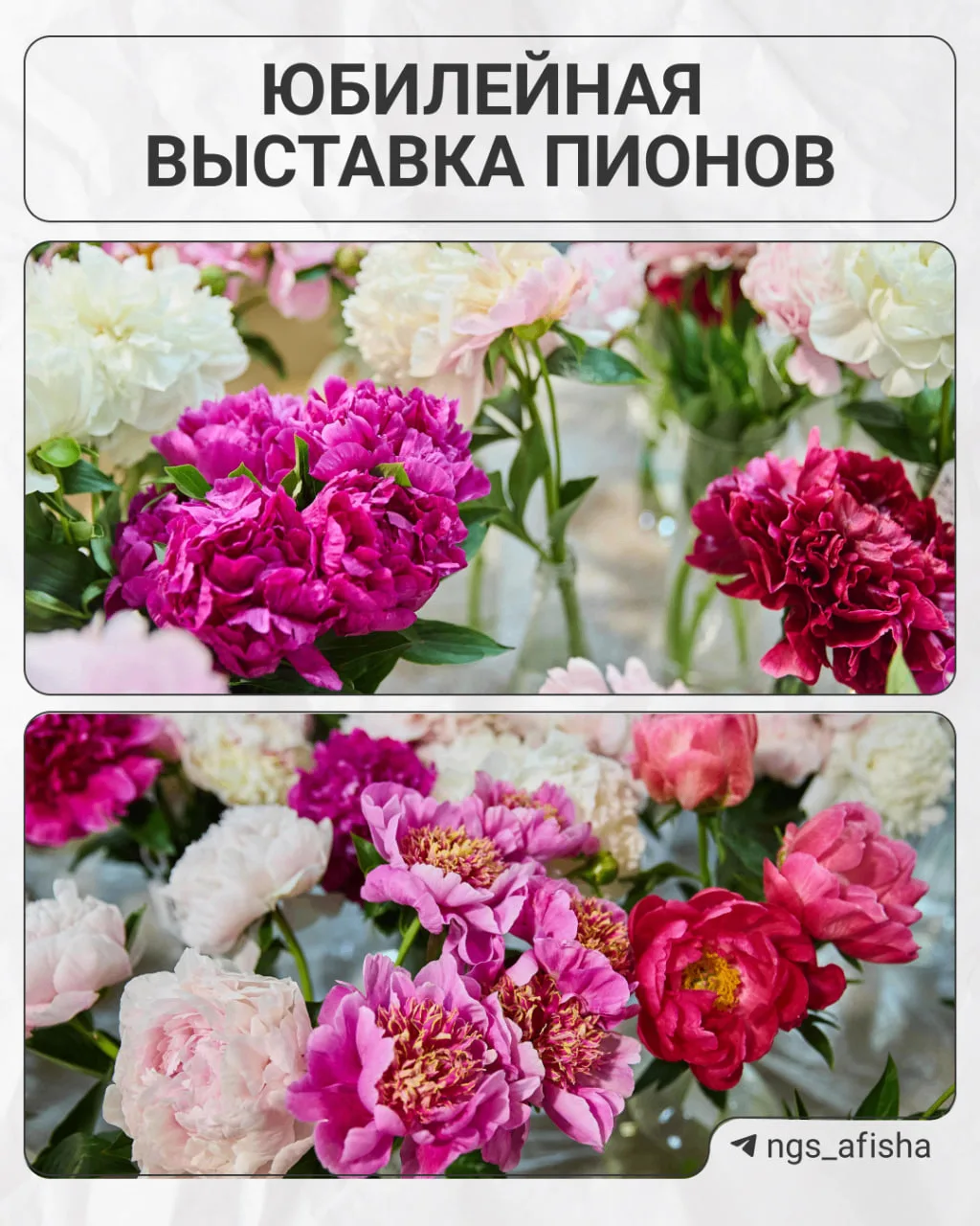 Ипотека от 3,5% "для всех" на квартиры в Новосибирске!