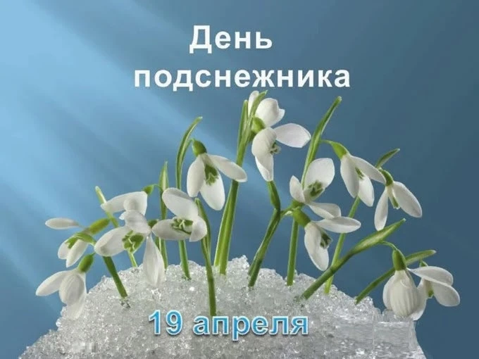 🗓️Ежегодно 19 апреля во многих странах мира отмечается уже ставший традиционным красив...