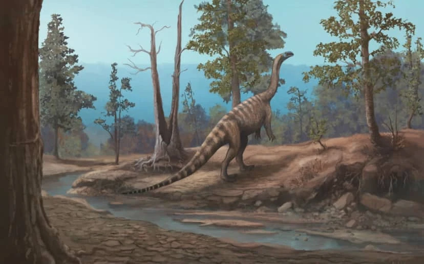 🦕 Новый вид динозавров открыли в Африке.