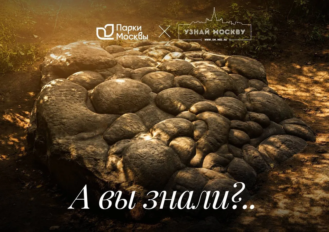 🪨 Девий камень и Гусь-камень: свидетели ледниковой эпохи
