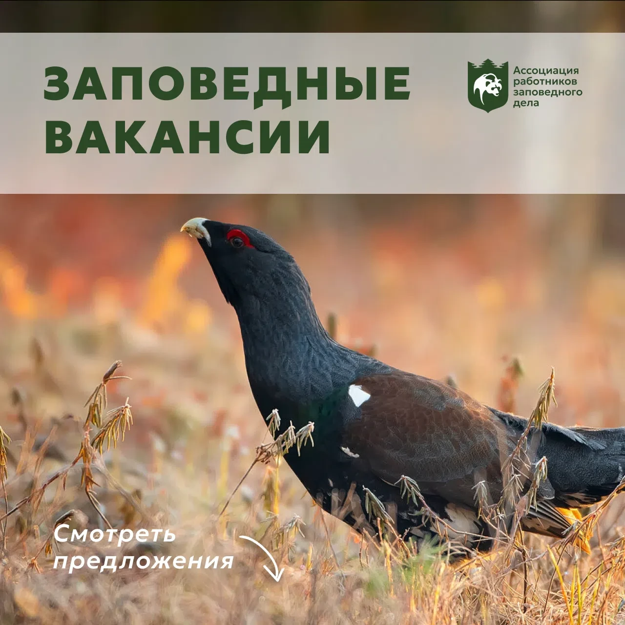 Заповедные Вакансии
