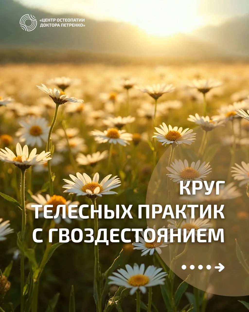 Для записи:
MAX
📞 Телефон: 8 (962) 284-48-98