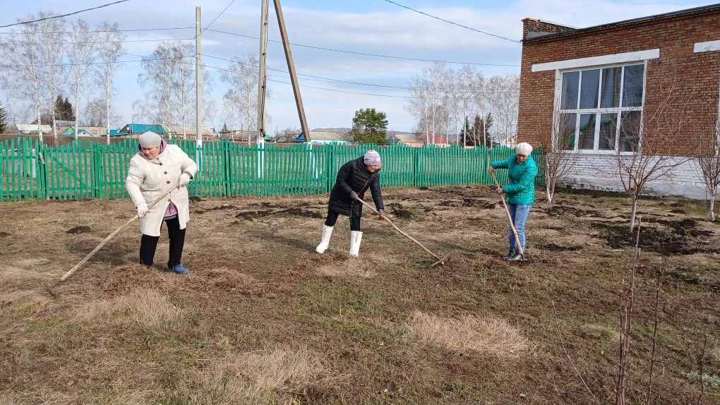В этом году весна начала радовать теплом очень рано. Уже сошёл снег,  и все принялись з...