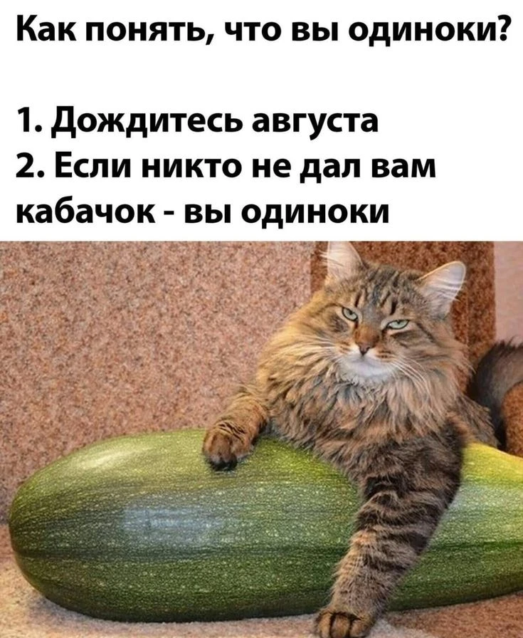 Ещё недавно я думала, что нет друзей – это когда тебе никто не пишет, если не пишешь ты.