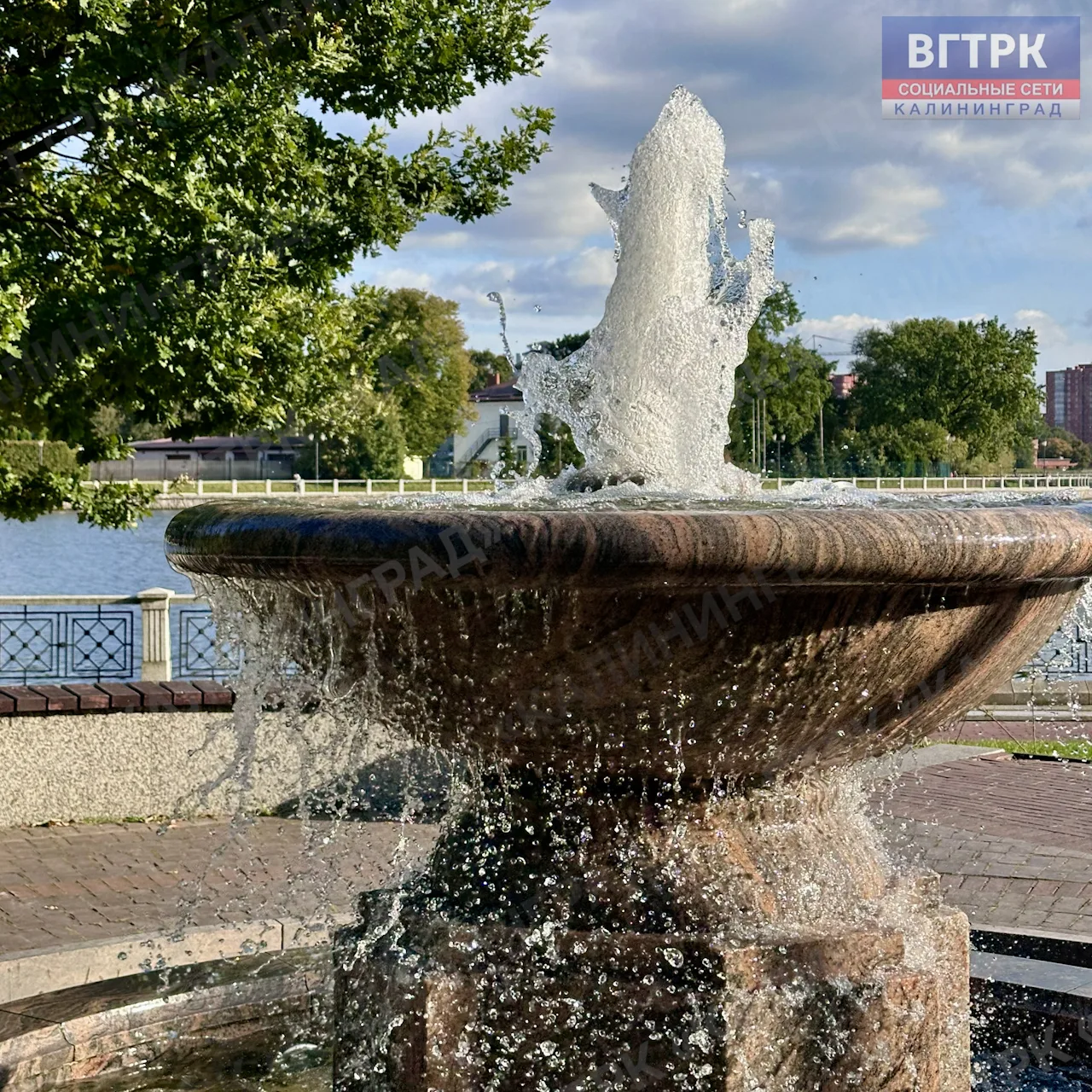 Изображение 7 к публикации «Вести - Калининград»