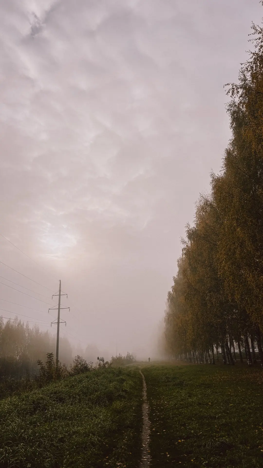 ⛅️1 октября в Кирове будет облачно с прояснениями, днём небольшой дождь.